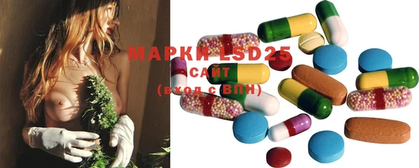 PSILOCYBIN Михайлов