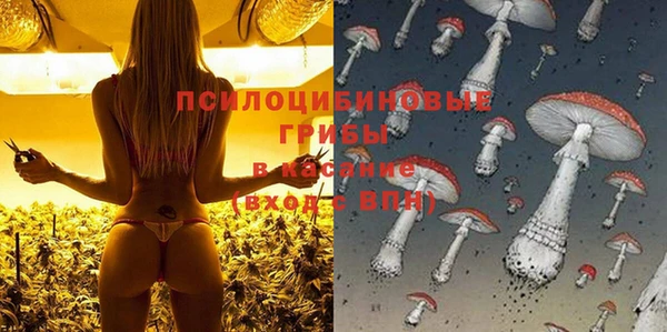 прущая мука Надым