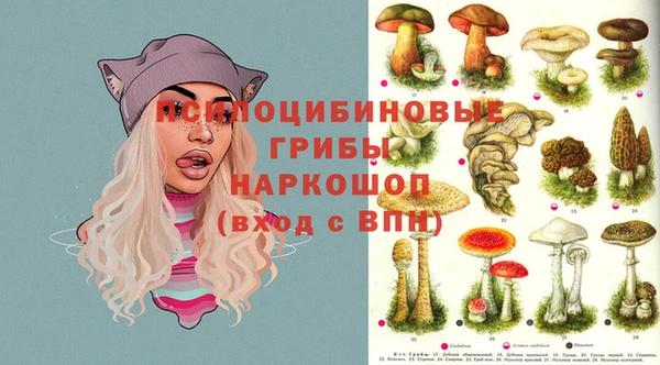 прущая мука Надым
