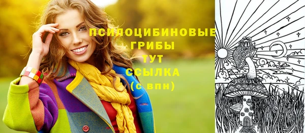 прущая мука Надым