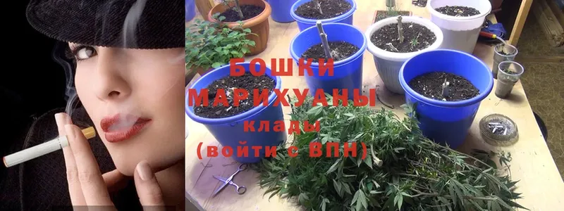 kraken   Нестеров  МАРИХУАНА SATIVA & INDICA  цены  